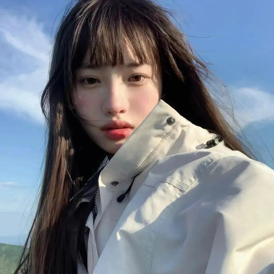 绝鲨岛